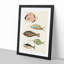 East Indies Fish Illustrations Fol. 20 by Louis Renard - Picture Frame Painting Print-55547128-55547133