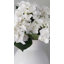 Small White Hydrangea 18"-1386890572