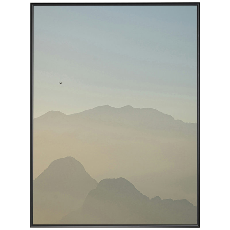 Cadre photo 11 x 14 en métal noir de style II AF735-PI, moulure en métal de 0,375 po, verre et support inclus, cadre de présentation murale pour art, affiches ou photos, cadre États-Unis