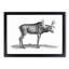 An Elk In Black And White by George Shaw - Single Picture Frame Print-55544844-55544843