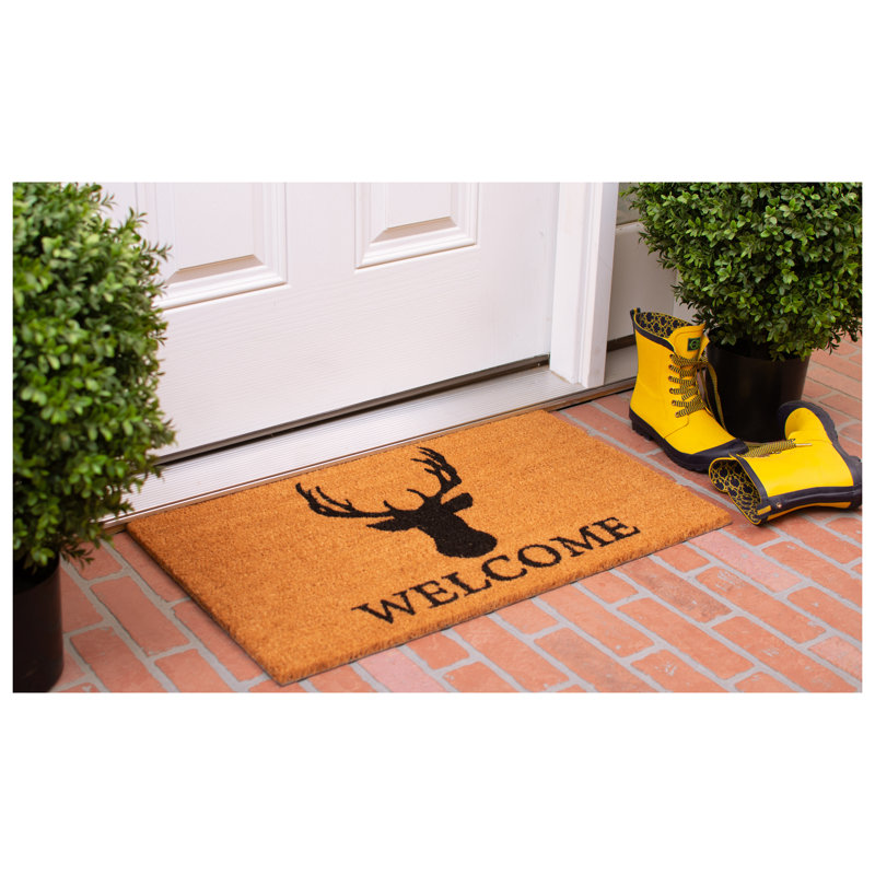 Tapis d'entrée antidérapant Gilpatrick, 2 pi x 3 pi