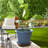 Ramyiah Pot Planter