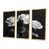 Toile avec cadre flottant or