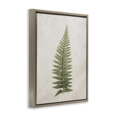 Detailed Fern Frond Framed Floater Canvas Wall Art by Jennifer Rigsby
