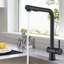 Belfry Kitchen Raposo Pull Out Kitchen Faucet