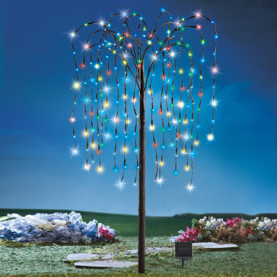 Lighted Trees & Branches