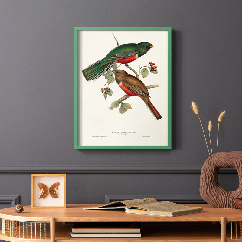 Impression encadrée Elegant Trogons VI - bois massif, Cadre simple vert, H 10 po x l 8 po