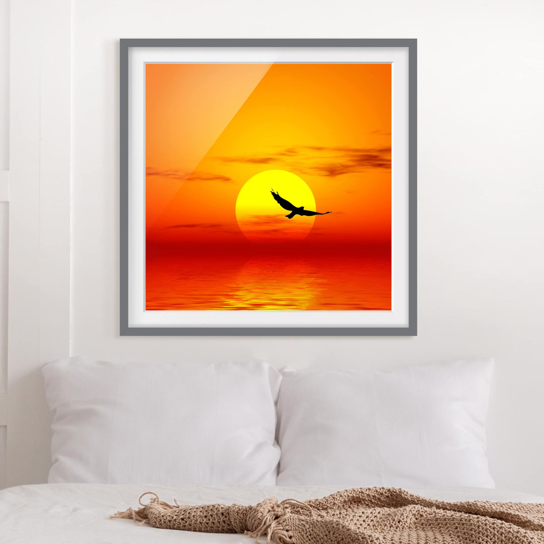 Gerahmtes Poster Golden Sunset