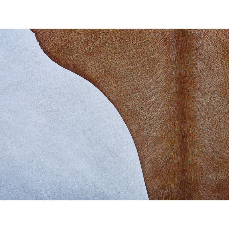 Stali Animal Print Cowhide Area Rug, Novelty 180 x 190cm