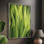 «Blades of Grass II», reproduction encadrée - bois massif-1623694597
