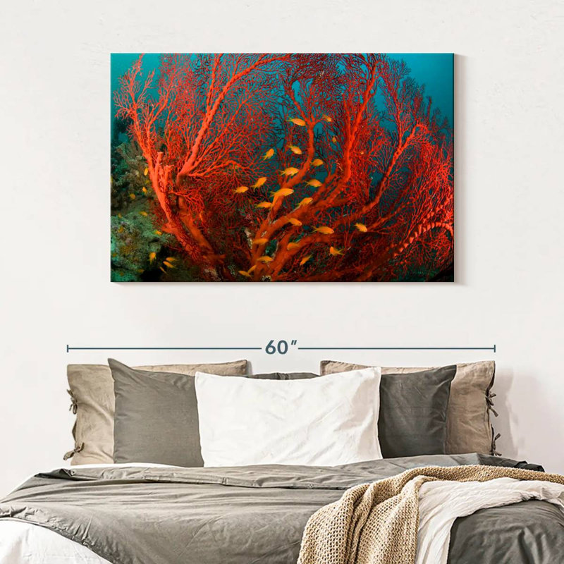 Fire Coral, 32" H x 48" W