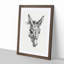 The Sketch of a Donkey by Jean Bernard - Picture Frame Drawing Print on MDF-55640184-55640185