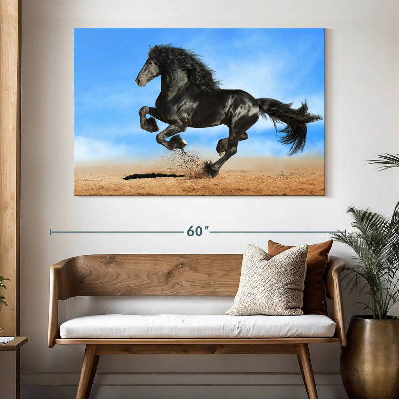 Cheval frison vivant, H 34 po x l 51 po