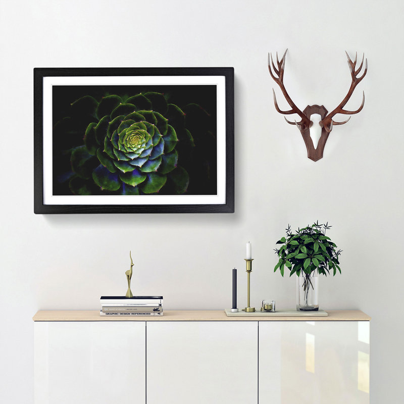 Dark Green Succulent Plant - Picture Frame Graphic Art Print, Black Framed, 45cm H x 63cm W x 2cm D