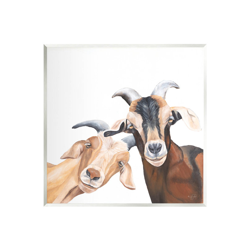 «Happy Goat», souriant, giclée par Diane Fifer