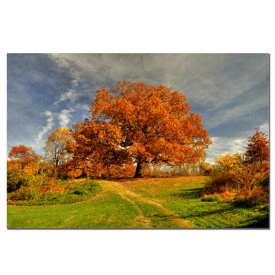 « scene » par lois bryan, reproduction de photo sur toile Gweltaz