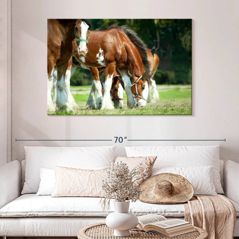 Brampt Clydesdale Horses, H 32 po x l 48 po
