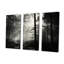 «Black and White Forest Silence», ensemble d'art sur toile-107760771-107760769