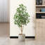 Ficus artificiel Adcock en pot avec des feuilles réalistes et un tronc naturel-2082728122
