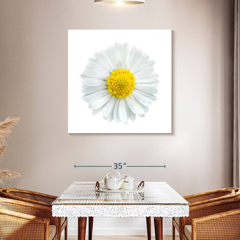 Harnek White Chamomile Flower
