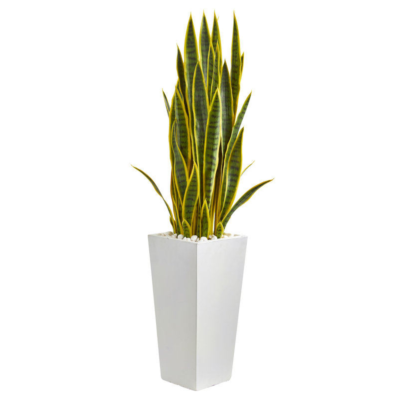 Faux Snake Plant (Sansevieria) Plant in Planter