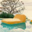 XL Pool Lounger-14570223