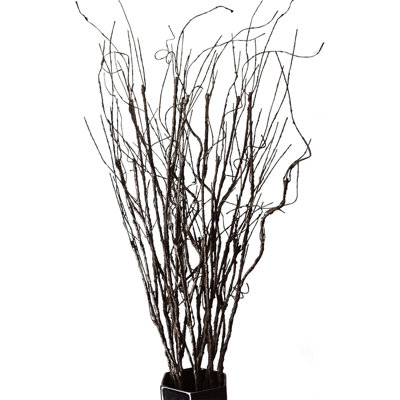 Curled willow branches decoration