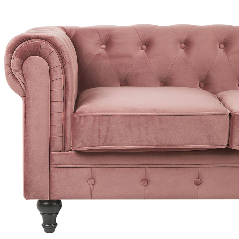 Camron 2 - Piece Velvet Living Room Set, Pink