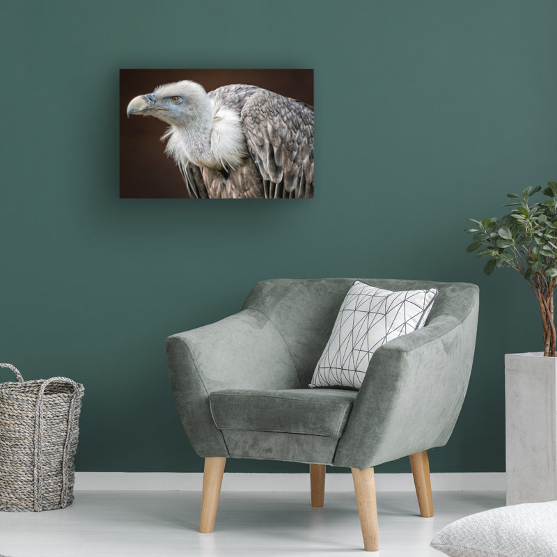 Bolog Thewesm Der Blick Canvas Art, 16" H x 24" W