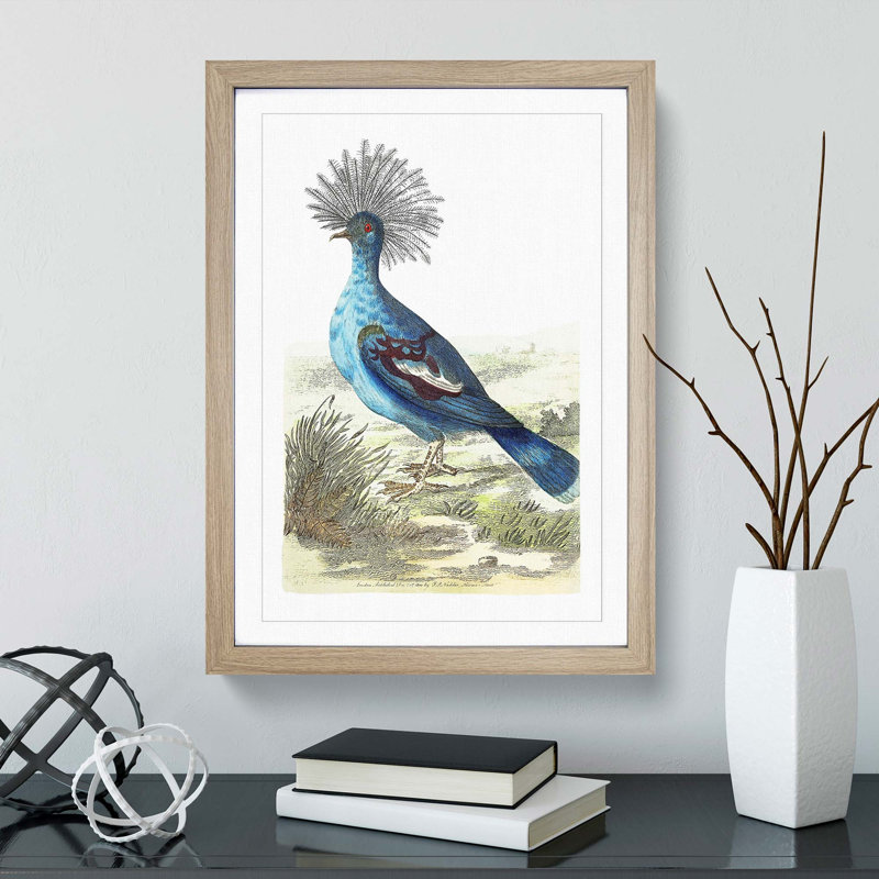 Crowned Pigeon by George Shaw - Picture Frame Painting Print, 36cm H x 27cm W x 2cm D, Oak Framed