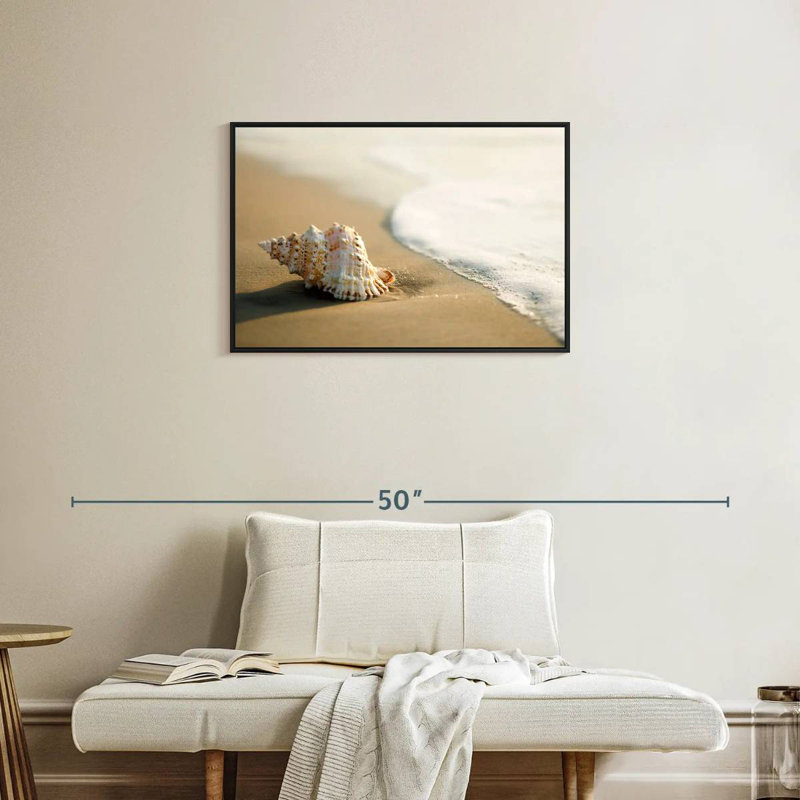 Coquillage sur la plage, Cadre flottant noir, 31 po x 21 po