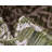 Outdoor Nile Area Rug Forest Color-765983669