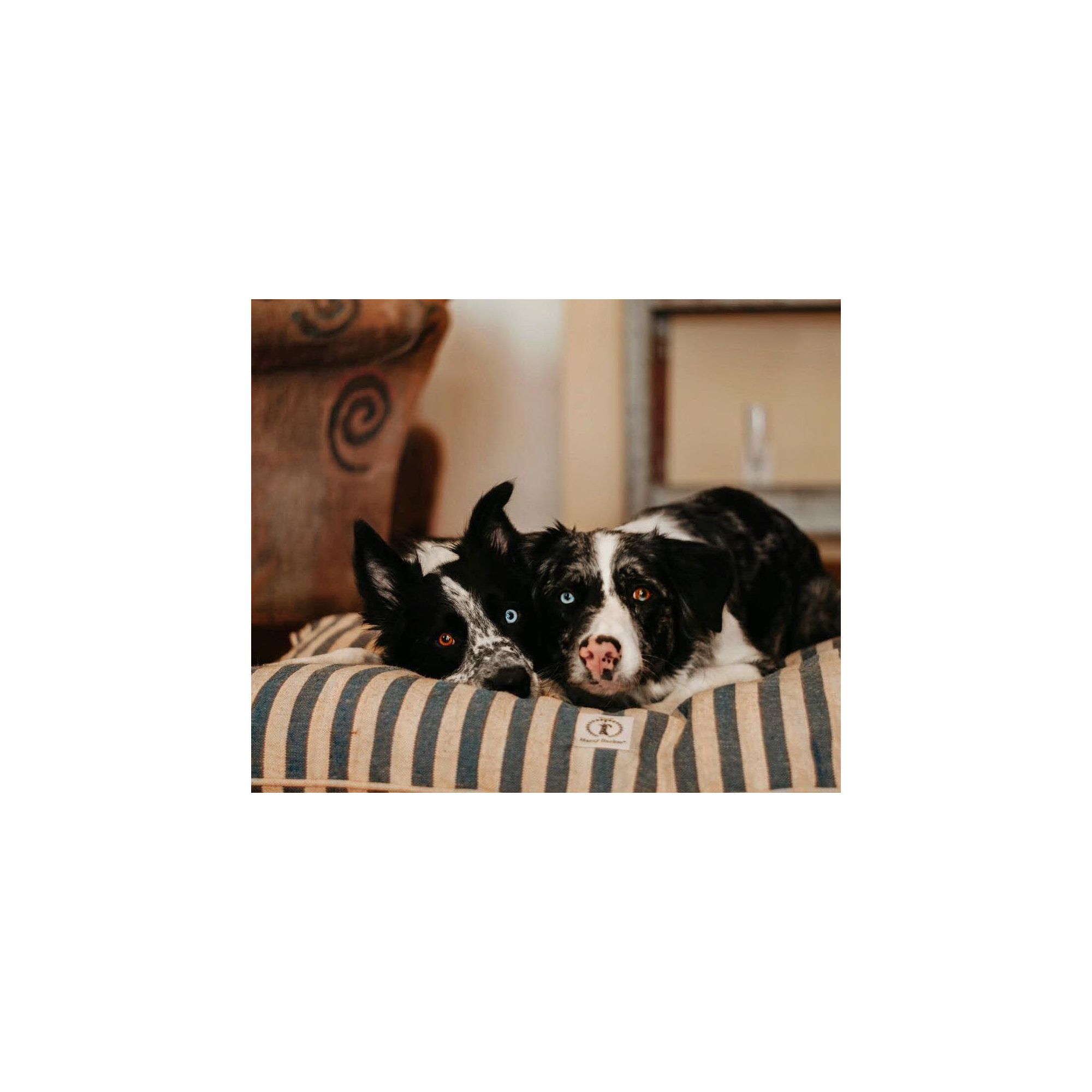 Cotton Striped Pillow, Black, Medium (36" W x 26" D x 5" H)