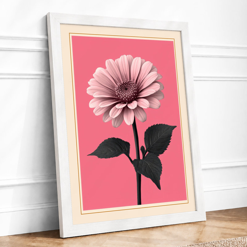 Pink Gerbera Study Botanical - Framed Print, A4 - 29.7 x 21.0 cm, White