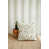 Ortega Cereus selected