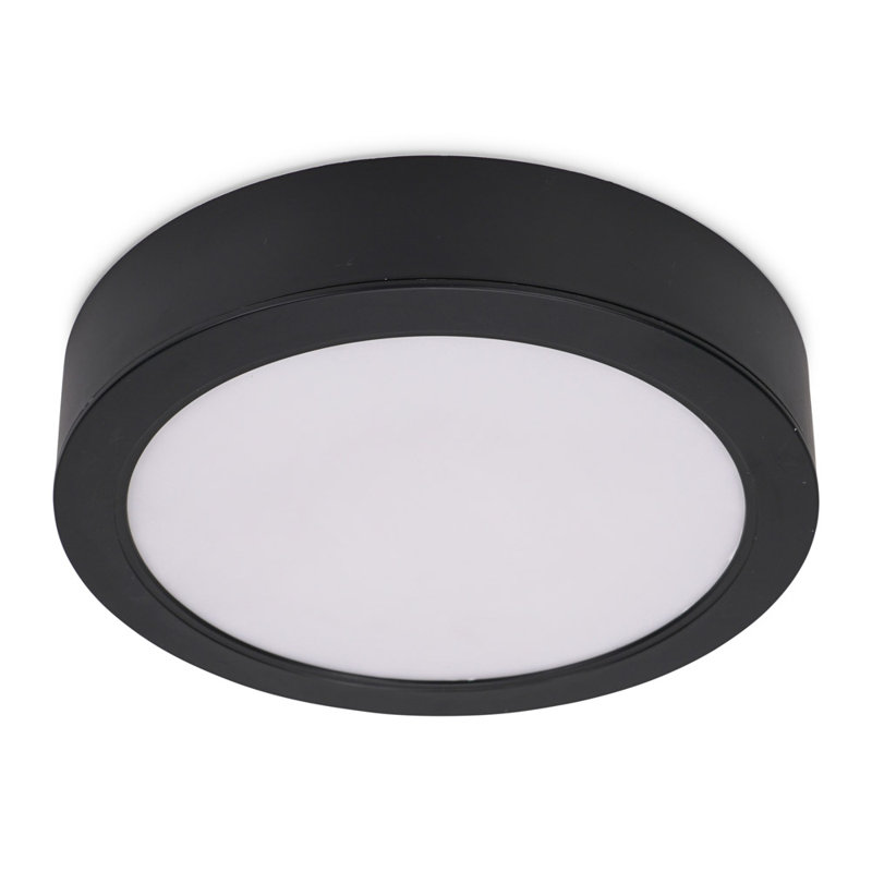 Clementie Plastic LED Flush Mounted Sconce, Matte Black