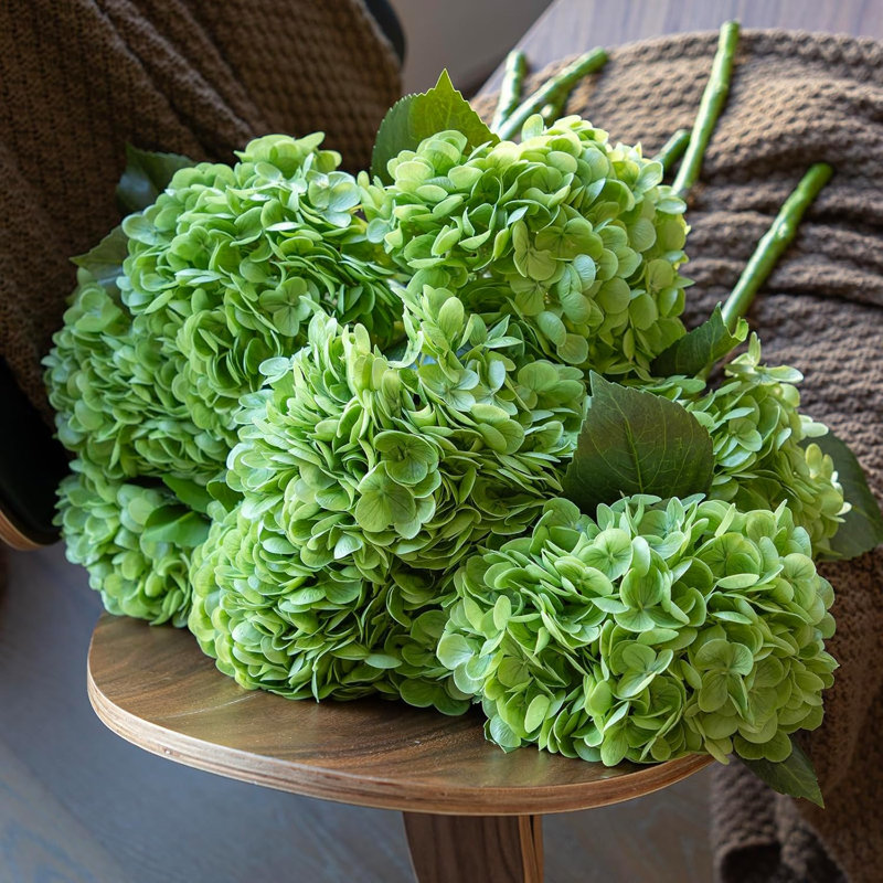 hydrangea