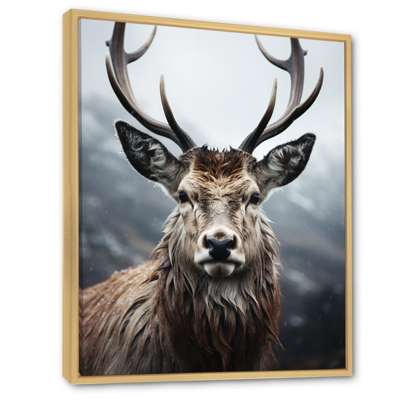 Cerf Bearnard monochrome I, Cadre naturel flottant, H 32 po x l 24 po x P 1 po