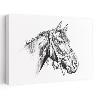 Dessin majestueux de cheval, portrait de cheval réaliste et contemporain, impression d'art mural