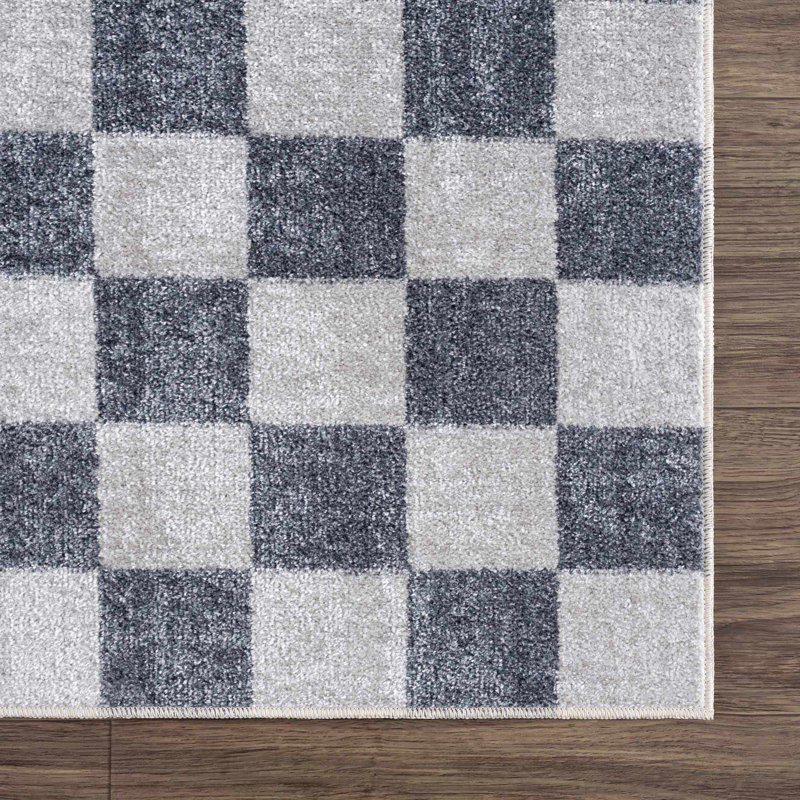 Brunetti Checkered Machine Woven Polyester Area Rug in Blue, Rectangle 5'3" x 7'