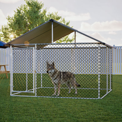 Chenil d'extérieur robuste 7,5 pi x 7,5 pi pour chiens de grande taille, cage en maille métallique résistante à la rouille avec toit en métal robuste, verrou sécuritaire et enclos en métal résistant aux intempéries