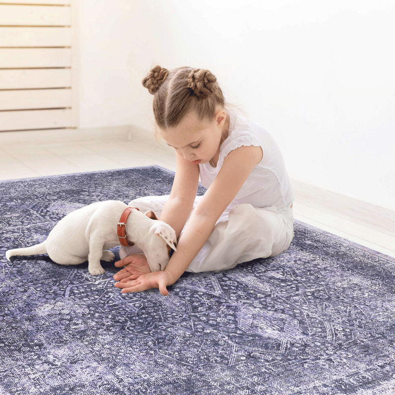 5X8 Area Rug For Bedroom, Living Room, Dining Room - Washable, Low-Pile, Non-Slip, Non-Shedding, Foldable, Super Soft,  Anthracite Washable Home Decor & Pet , Stain , Chenille