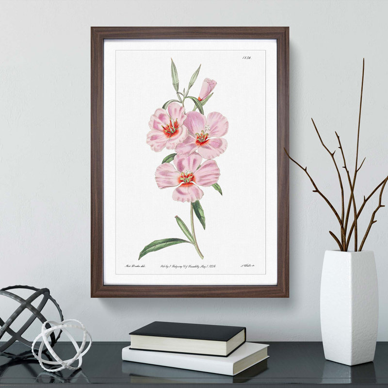 Blooming Pink Hibiscus Flowers - Picture Frame Graphic Art Print, Walnut Framed, 65cm H x 48cm W x 2cm D