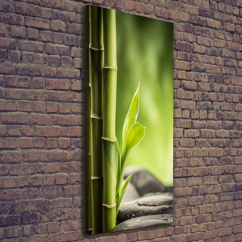 Bamboo - Wrapped Canvas Print