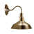 Yellow Brass