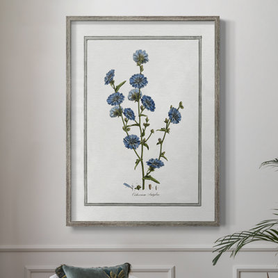 Soft Botanical I Framed Print - Solid Wood