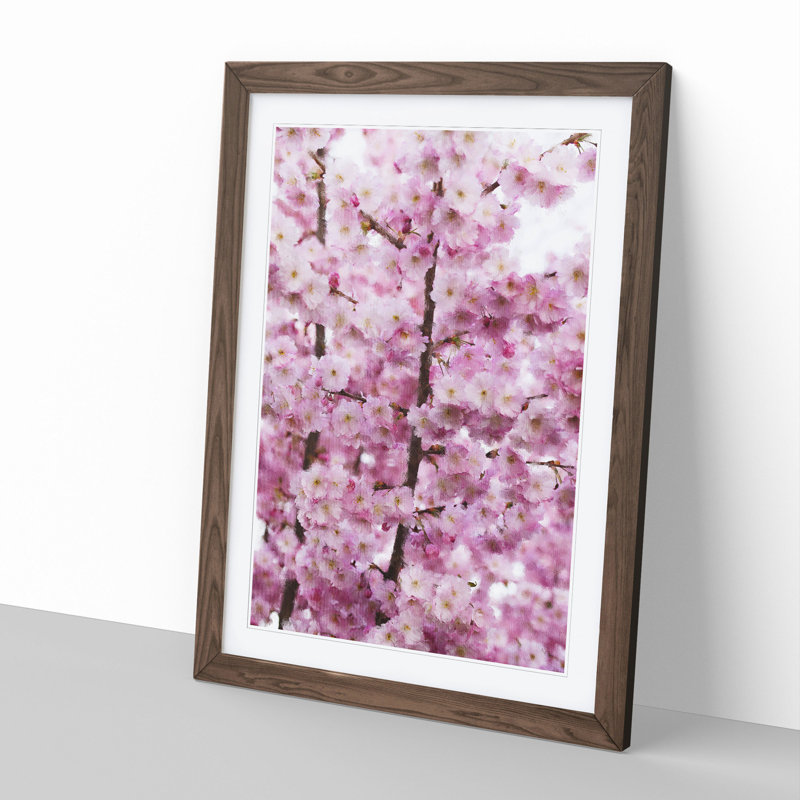 Pink Cherry Blossom Flowers Vol.2 - Picture Frame Graphic Art, 48cm H x 36cm W x 2cm D, Walnut Framed