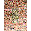 Orange Alchemy Transitional Silk Rug - 11'x15'