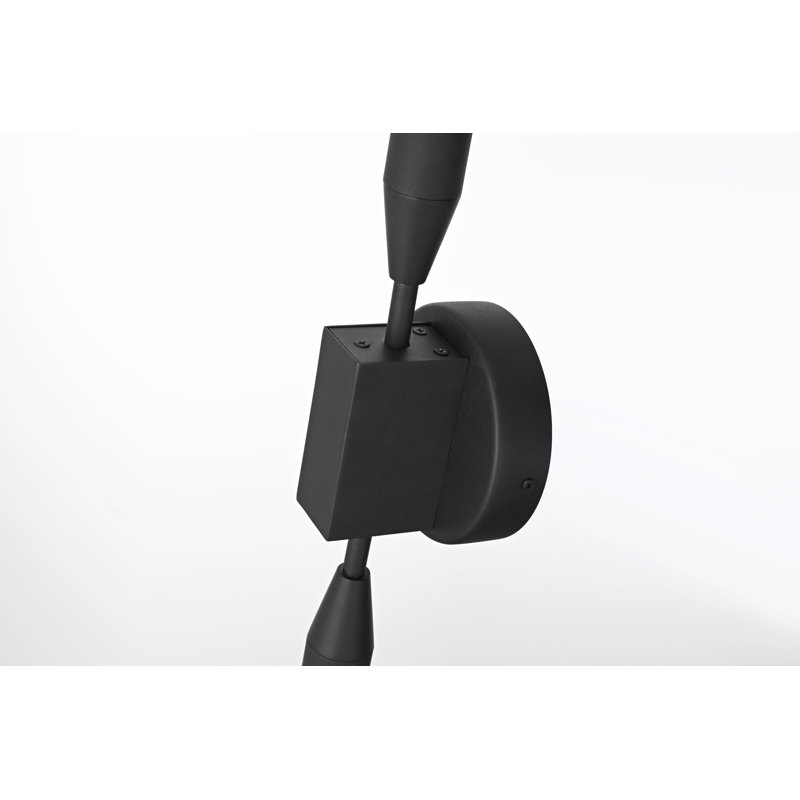 Omarie Outdoor Wall Sconce in Black