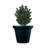 Pot Planter